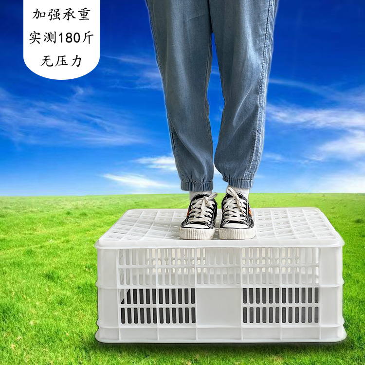 水果周轉(zhuǎn)筐